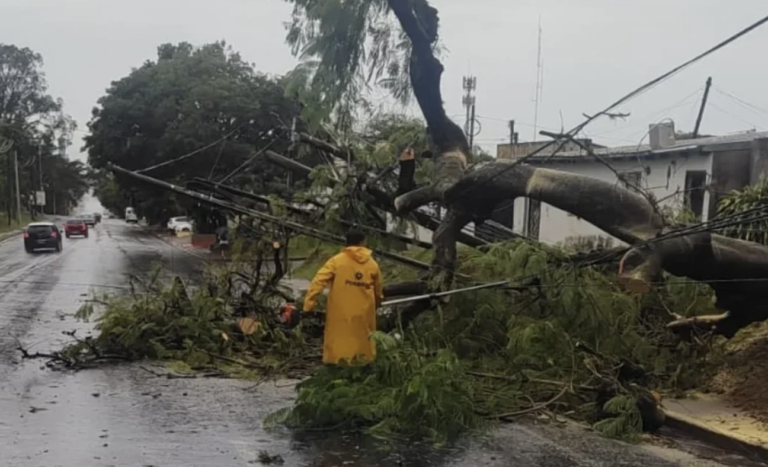 Tornado y destrozos en Misiones